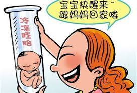 首席专家